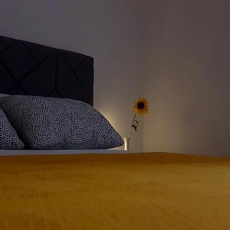 Appartement Casa Bella - Vracar à Belgrade Extérieur photo