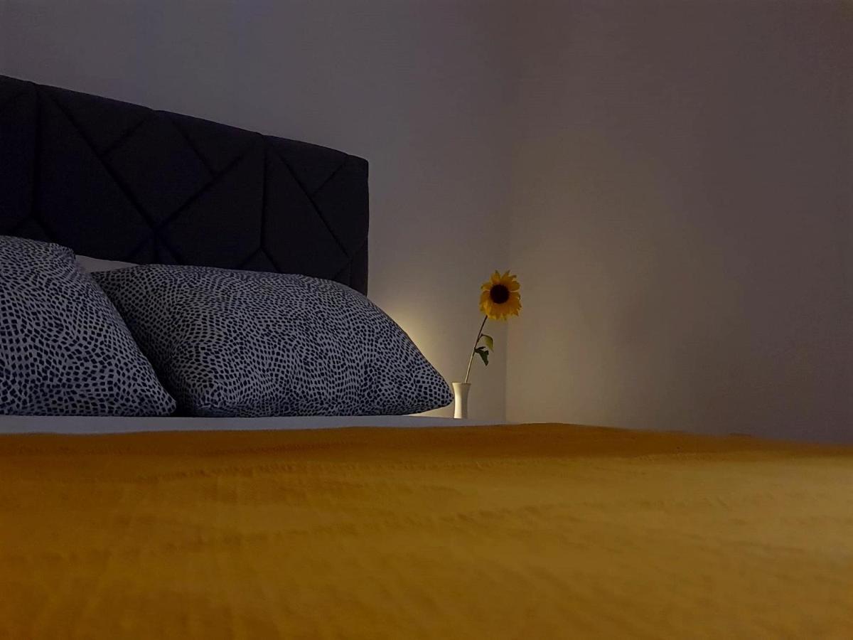 Appartement Casa Bella - Vracar à Belgrade Extérieur photo